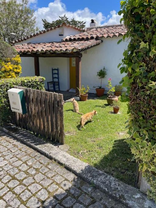 Ocean, Surf, Golf Private Villa With Pool Near Lagoon Casal do Narcizo Екстер'єр фото